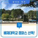 배재대학교부속유치원 | 청춘을 느껴라! 배재대학교 캠퍼스 산책!