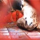 혜린농장 이미지