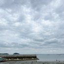충남 당진 가볼만한곳 왜목항 선상횟집 추천 당일치기 여행