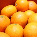 평안농장 이미지