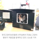 한국고양이보호협회 길냥이를 위한 [겨울집] 4차 모집 ~12.5 이미지