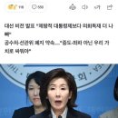 나경원 "국회가 대통령 탄핵하는데,대통령도 국회 해산권 있어야" 이미지