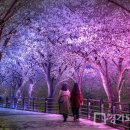 덕풍천동로 이미지