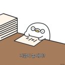 에듀노트 | [자격증준비] 데이터에듀 ADsP 민트책 후기 (+시험 공부법)