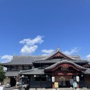 강아지마을2012 | [구마모토] 야마가(山鹿) 당일치기 방문