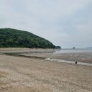 나인먼스레저스포츠 | 대부도 구봉솔숲 트래블지 코브나인 사또횟집