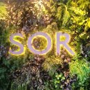 소르호텔 이미지