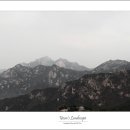 불광사 티스토리
