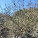 캠핑소리251 이미지