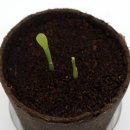 팜팜농장 이미지