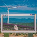 아름다운애견세상 이미지