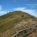 무릉리-8 이미지