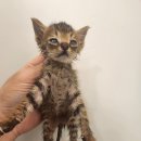 하빈로84길 이미지