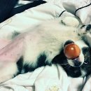 박문수 펜션 이미지