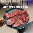 146 | 대전 봉명동 소고기 <백제소갈비> 소금 왕갈비 후기 회식장소 추천