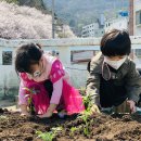 반송1동-6 이미지