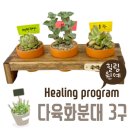 실무사 힐링 원예수업 다육식물 화분대 만들기[경기, 과천]