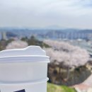 녹스레스토랑 | 영주 뷰카페 추천 녹스고지｜베이커리·루프탑까지 완벽한 영주 카페
