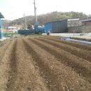 일철농장 이미지