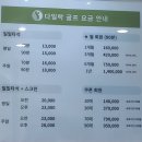 다일락스포렉스 이미지