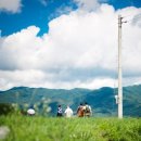 남원1농로 이미지