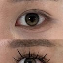 마이뷰티 왁싱앤래쉬 | 까치산 속눈썹 마이뷰티왁싱앤래쉬 애니메래쉬 연장 후기 및 관리방법