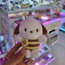 개이득뽑기방 이미지