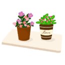 카페젤코바 이미지