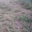 고고농장2 이미지