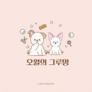 오월의 그루밍 이미지