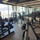 피트니스382 이미지