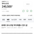 신작 출시후 돌아버린 게임주 종토방 이미지