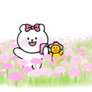 식물나라화원 이미지