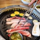 배때지