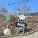 표시노리