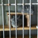 두루농장 이미지