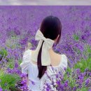 래빗투어