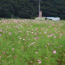 삼화휴게소 이미지