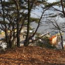 새길시장 이미지