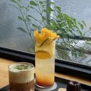 오렌지곰카페 이미지