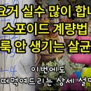 떠먹여 드리는~ 얼룩 없는 다육이 살균제, 은근 헷갈리는 스포이드 사용법 이미지