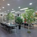 티티엔비코리아 이미지