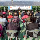 영광1 태양광발전소 이미지