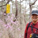 정기봉129동막산228양각산396m평라산474m으성굴말랭이366각시봉341등잔봉347등잔봉267자라봉265/ 충남 보령 이미지