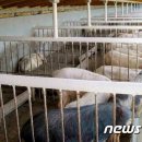 종성축산 이미지