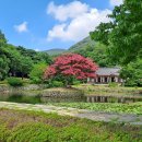 진도 운림산방 이미지