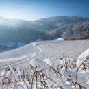 농가월령가 이미지