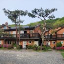 펜션클로버 | 자연 속 힐링, 단체 모임에 최적화된 레드클로버 펜션 이용 후기