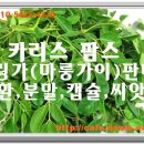 카리스팜스