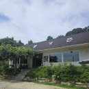 계룡 노적봉 가든 후기｜주문하면 바로 생오리 뜨는 오리고기집